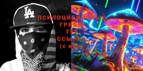 мет Сясьстрой